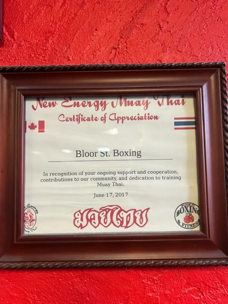 BSF Toronto Achievements 10 Bloor St Boxing certificate of appreciation from New Energy Muay Thai 2017
